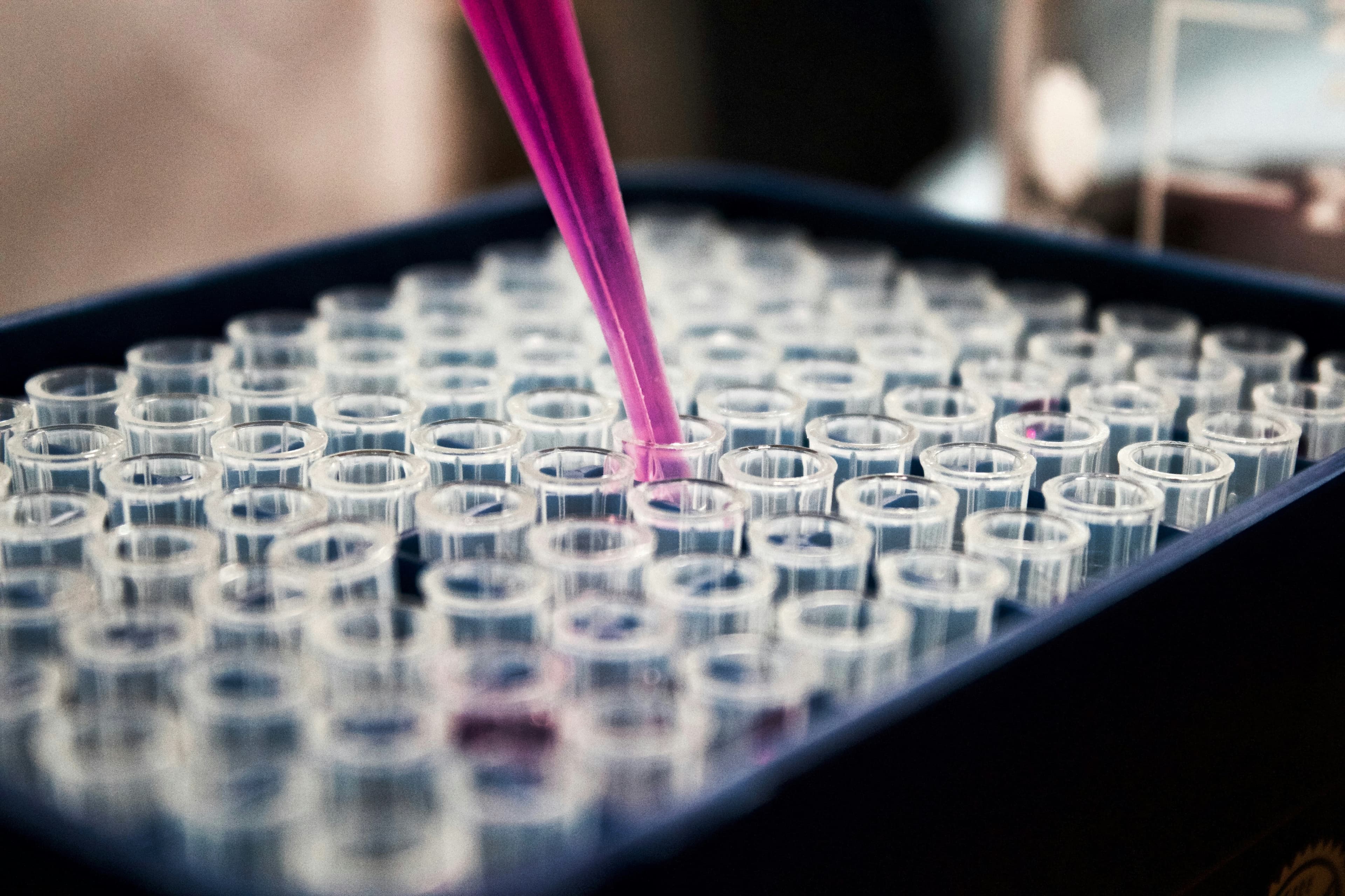 Colorful liquid samples in laboratory test tubes for chemical analysis