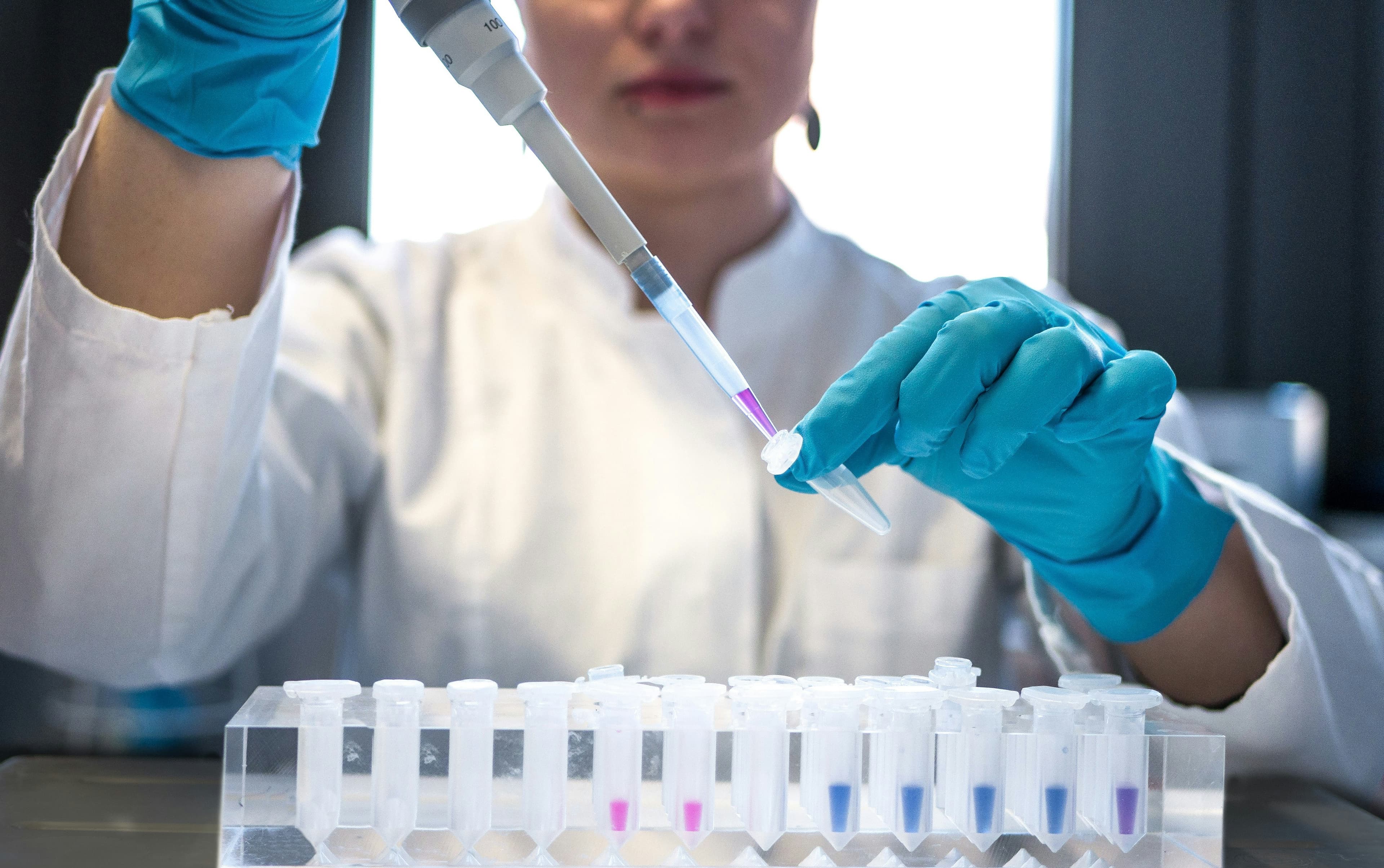 Laboratory scientist using micropipette to transfer liquid samples into test tubes